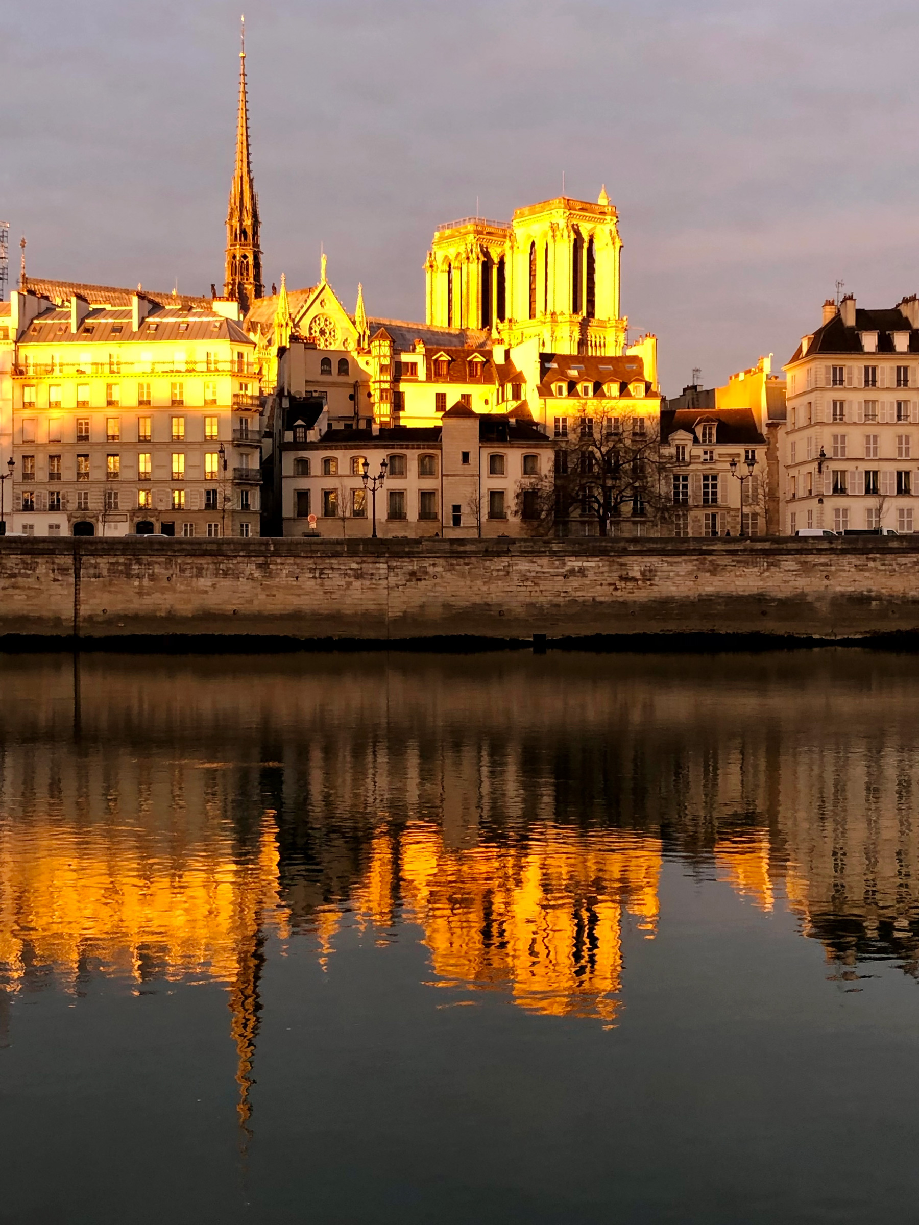 La cathédrale Notre-Dame de Paris, mars 2026.