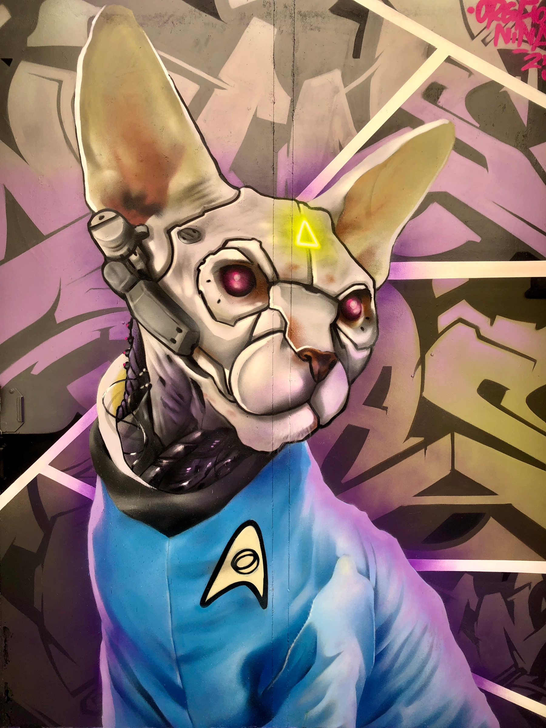 Orghone et Lady Nina transforment un chat sans poils en voyageur cosmique.