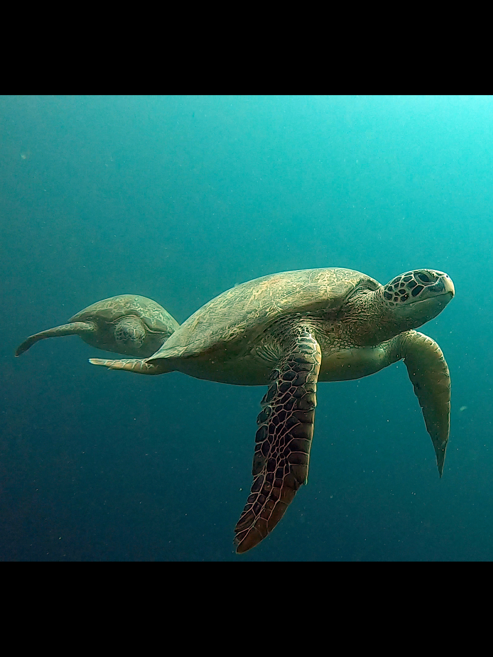 Tortues, Philippines.